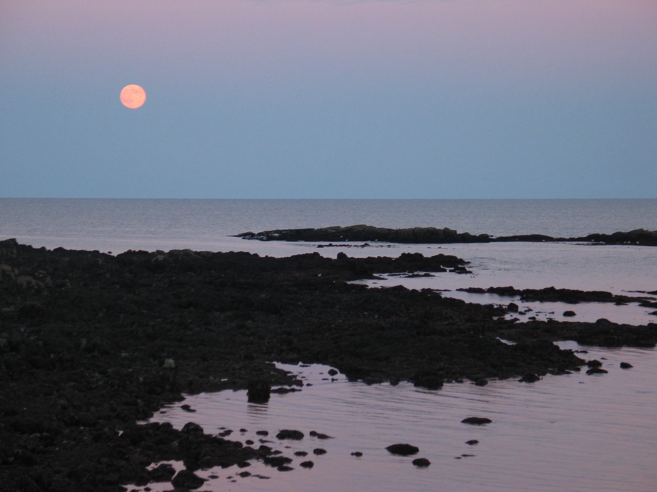 Ogunquin Moon Greeting.JPG