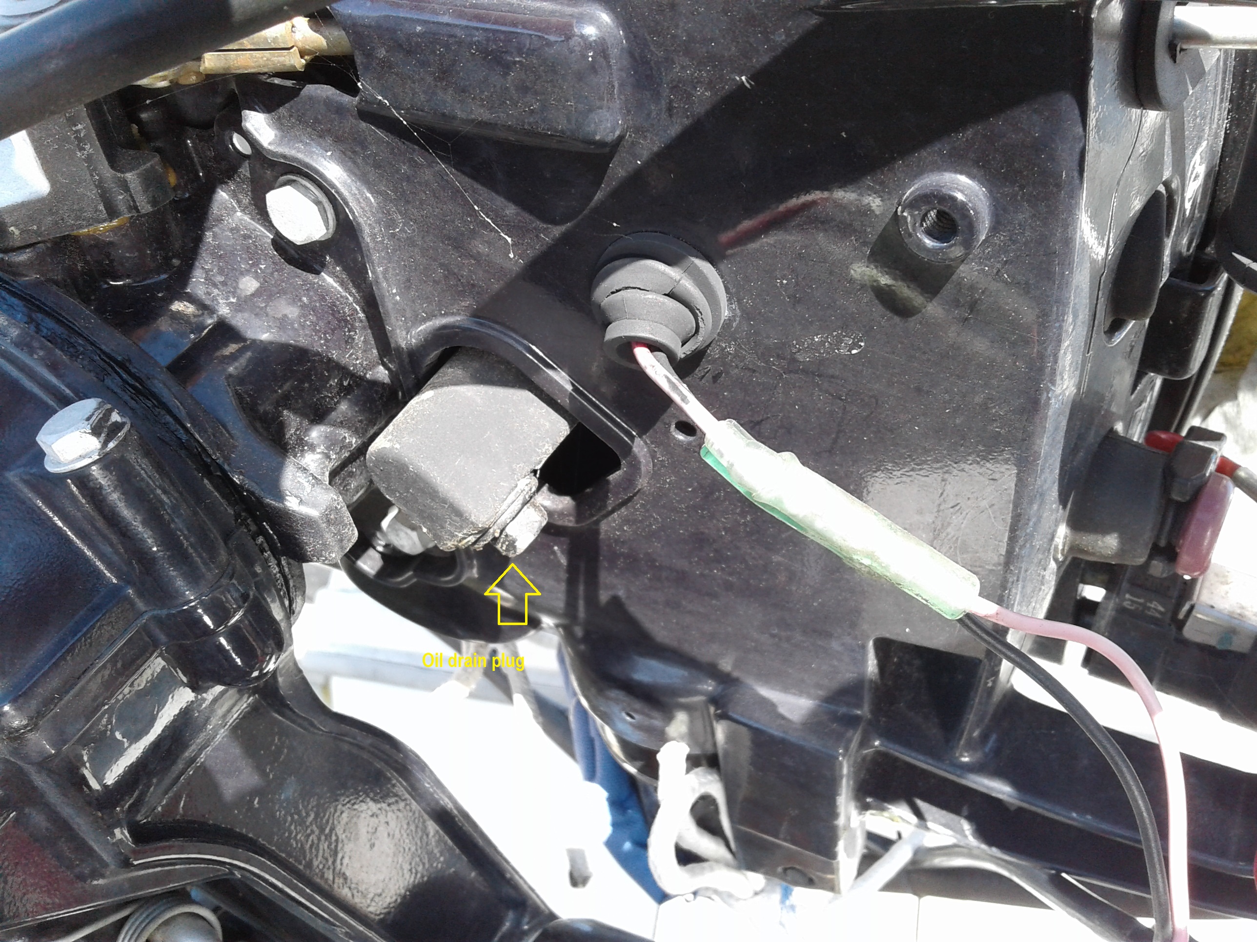 Oil drain plug on tohatsu sail pro 6.jpg