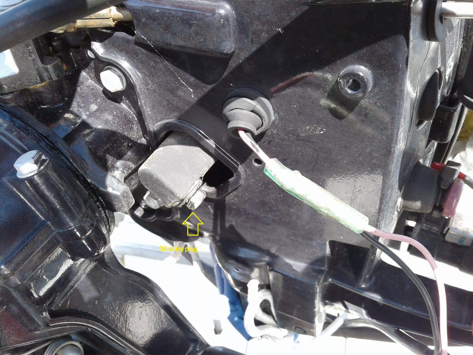 Oil drain plug on tohatsu sail pro 6.jpg