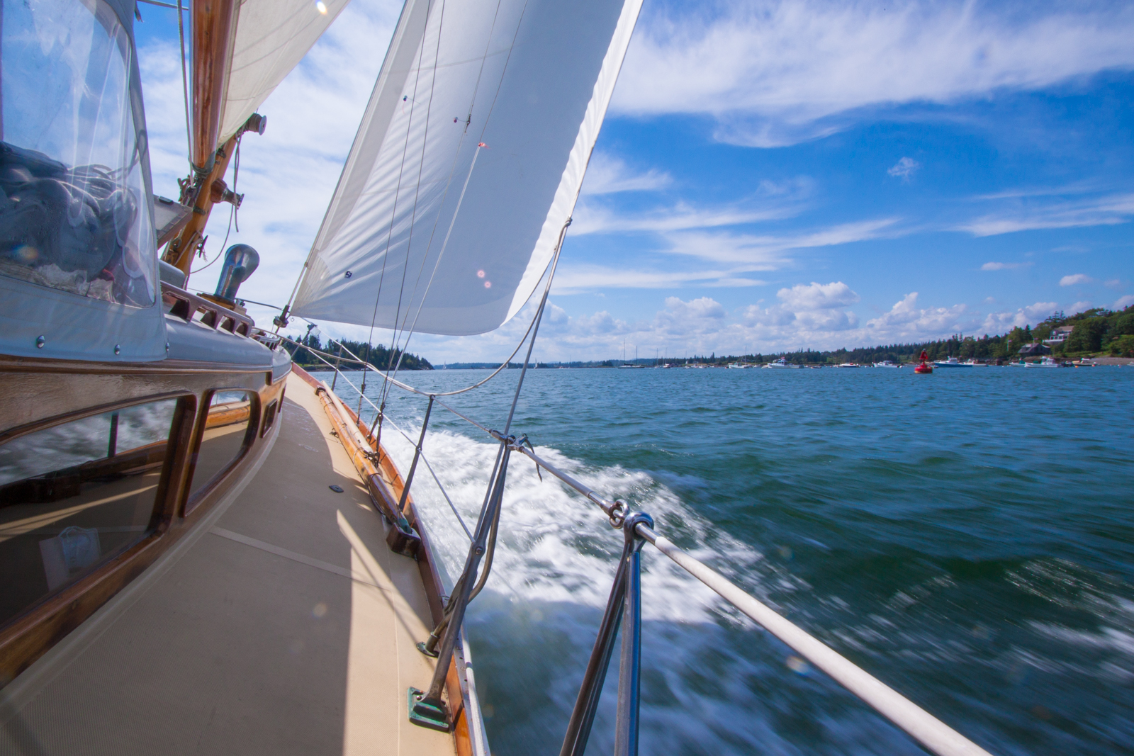 On the wind  (1 of 1).jpg