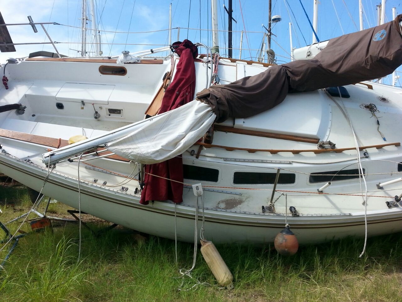 Osprey 2017 on floor marina.jpg