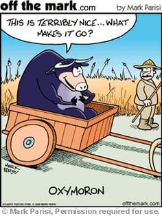 ox.jpg