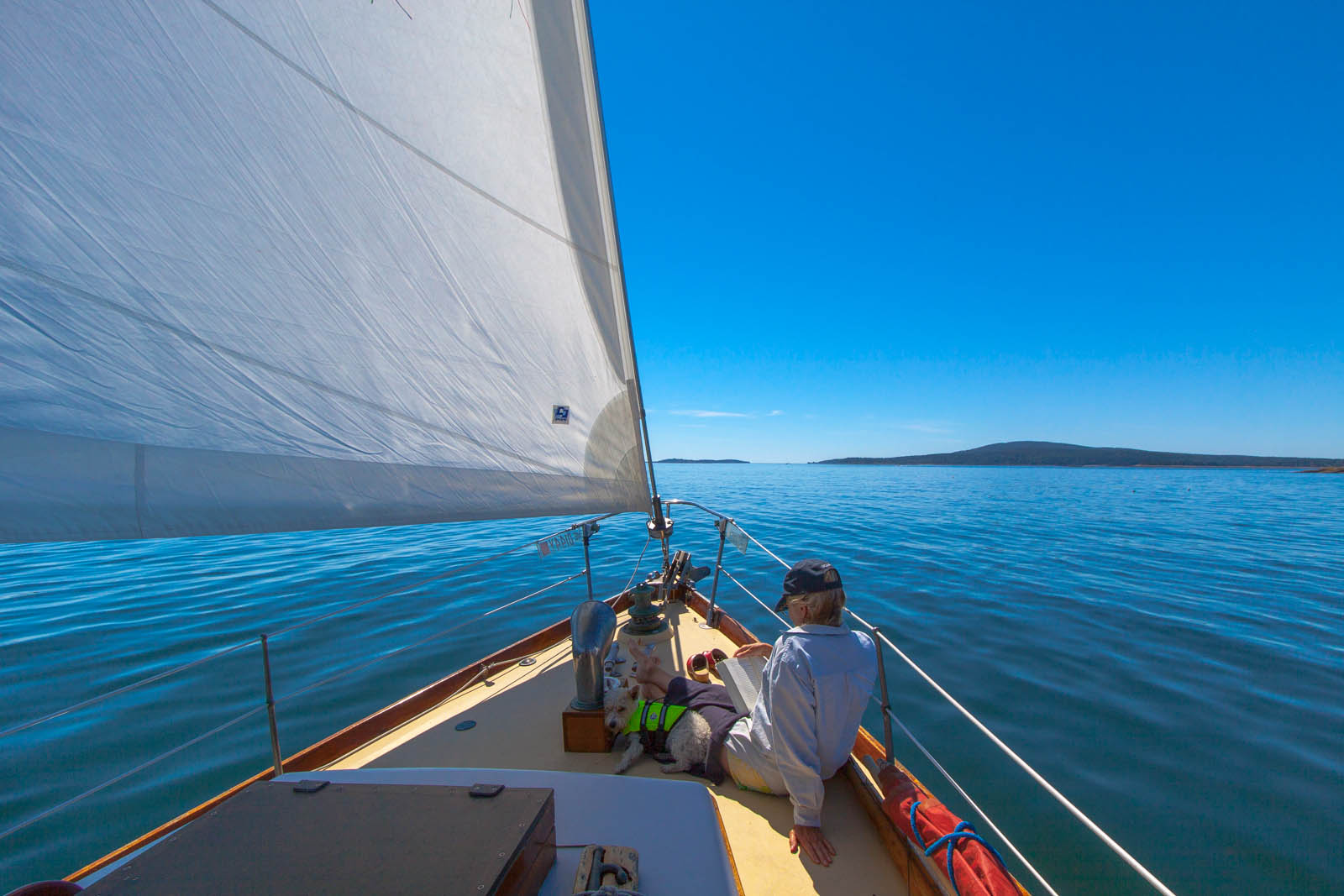 P reading foredeck Daisy 2 (1 of 1).jpg