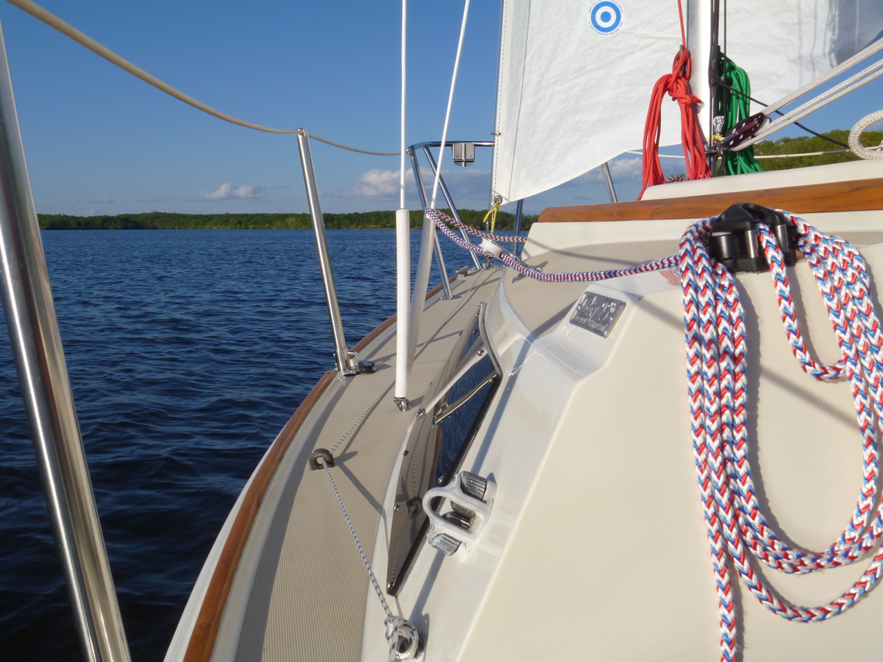 P1000378.jpg