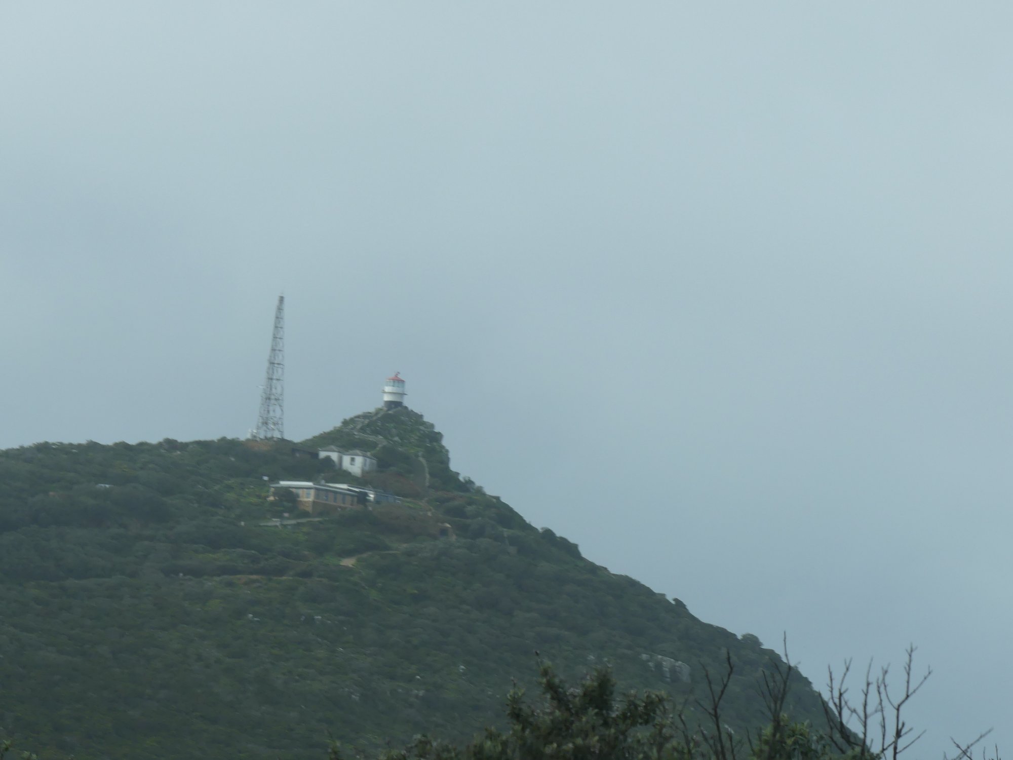 P1000851.JPG