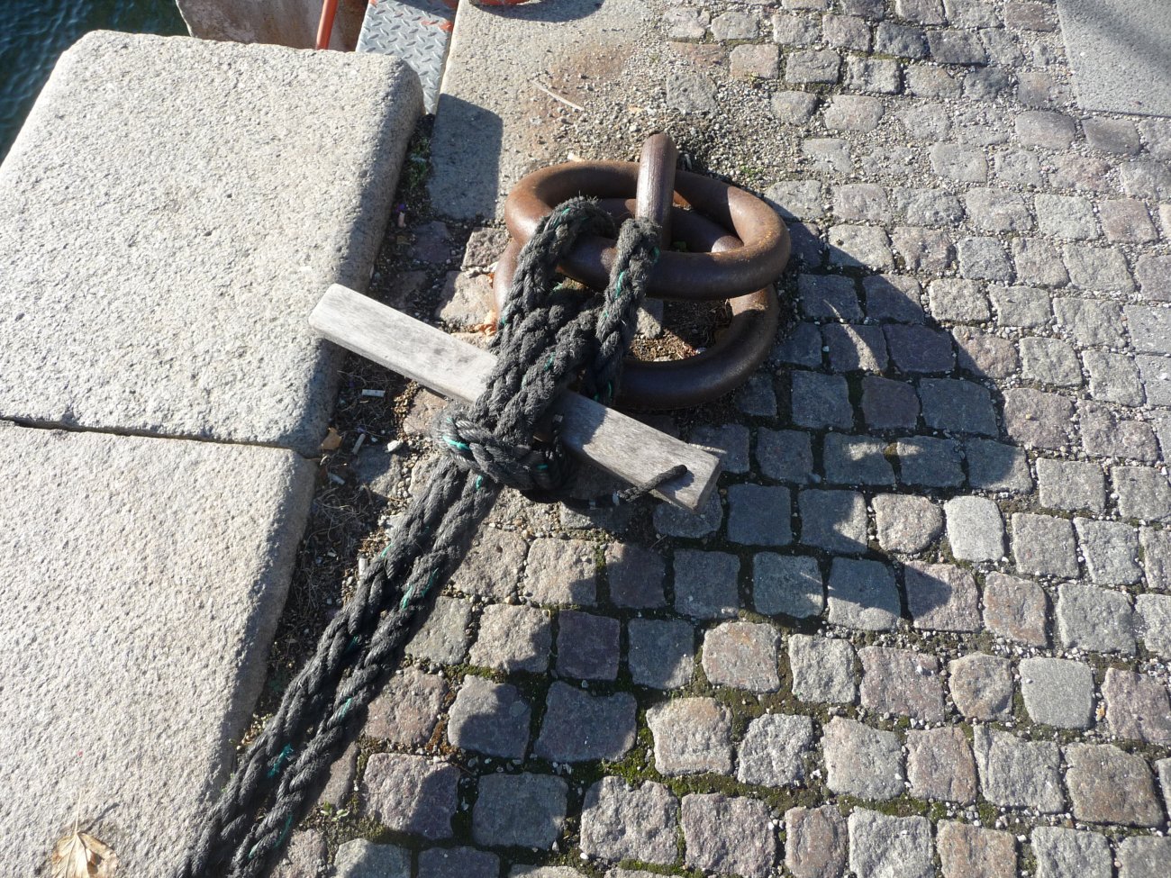 P1030147.JPG