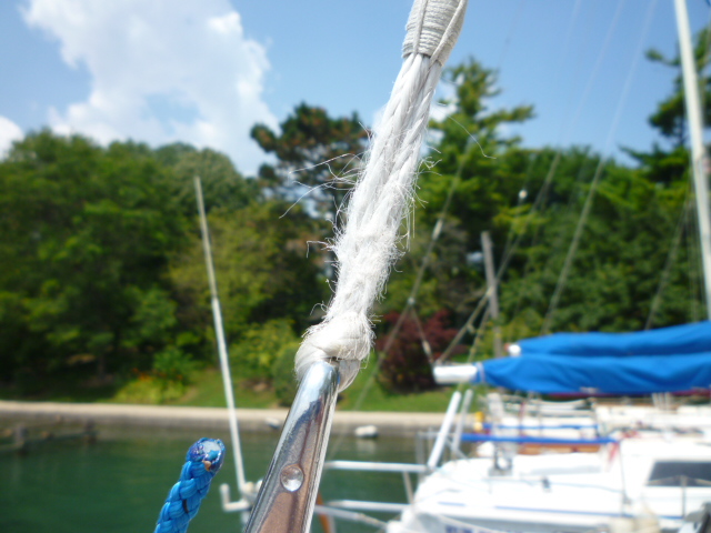 P1030491.JPG