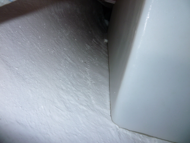 P1030559.JPG