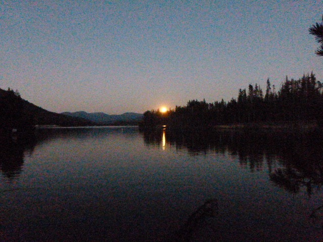 P1040206.jpg