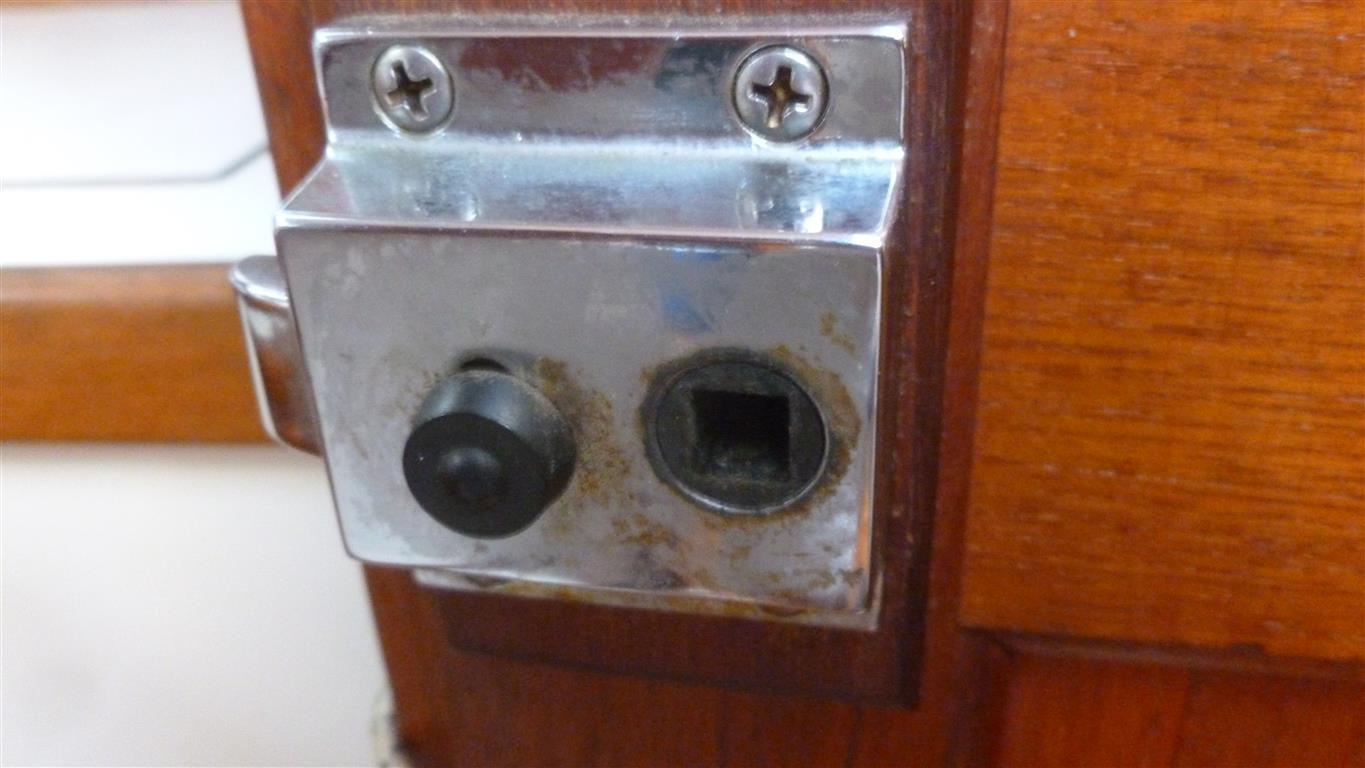 P1160851 (Medium).JPG