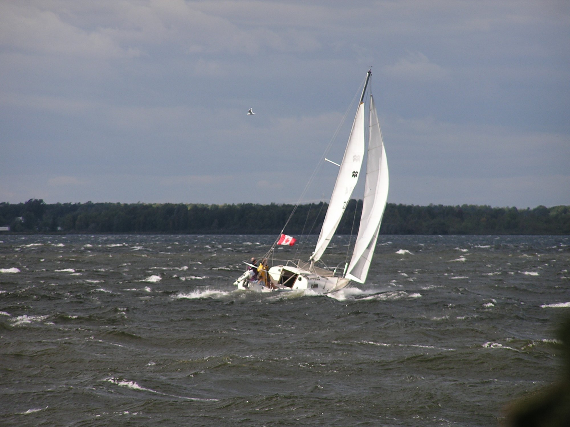 P9200012.JPG
