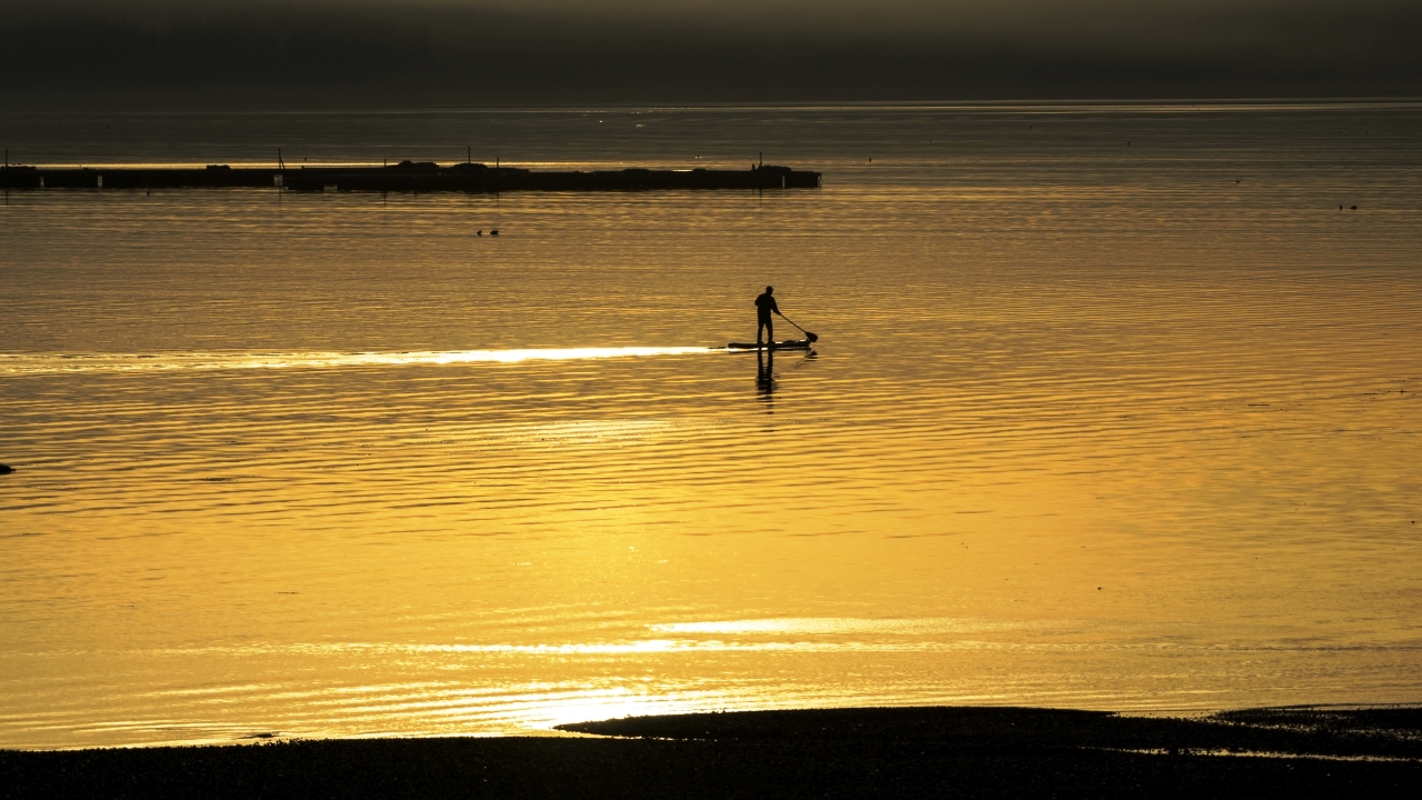 Paddler by Barnard 2017-10-10.jpg