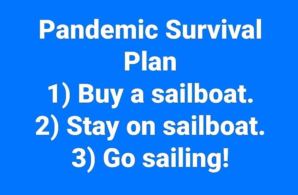 Pandemic Survival.jpeg