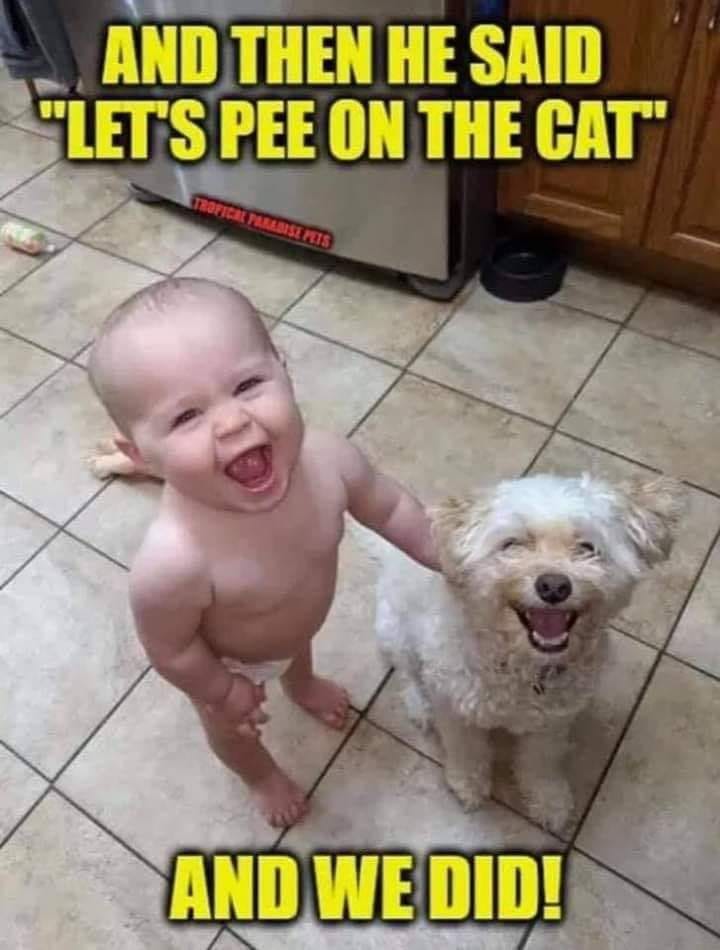 pee.jpg