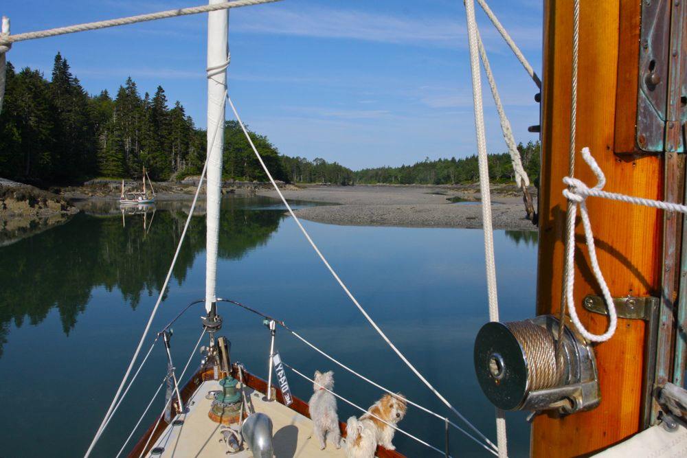 Perry Drascomb anchored.jpg