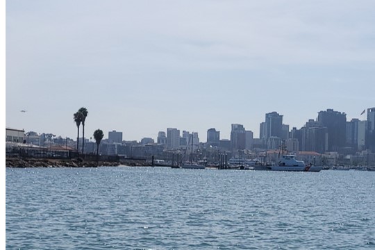 PictureA91.jpg