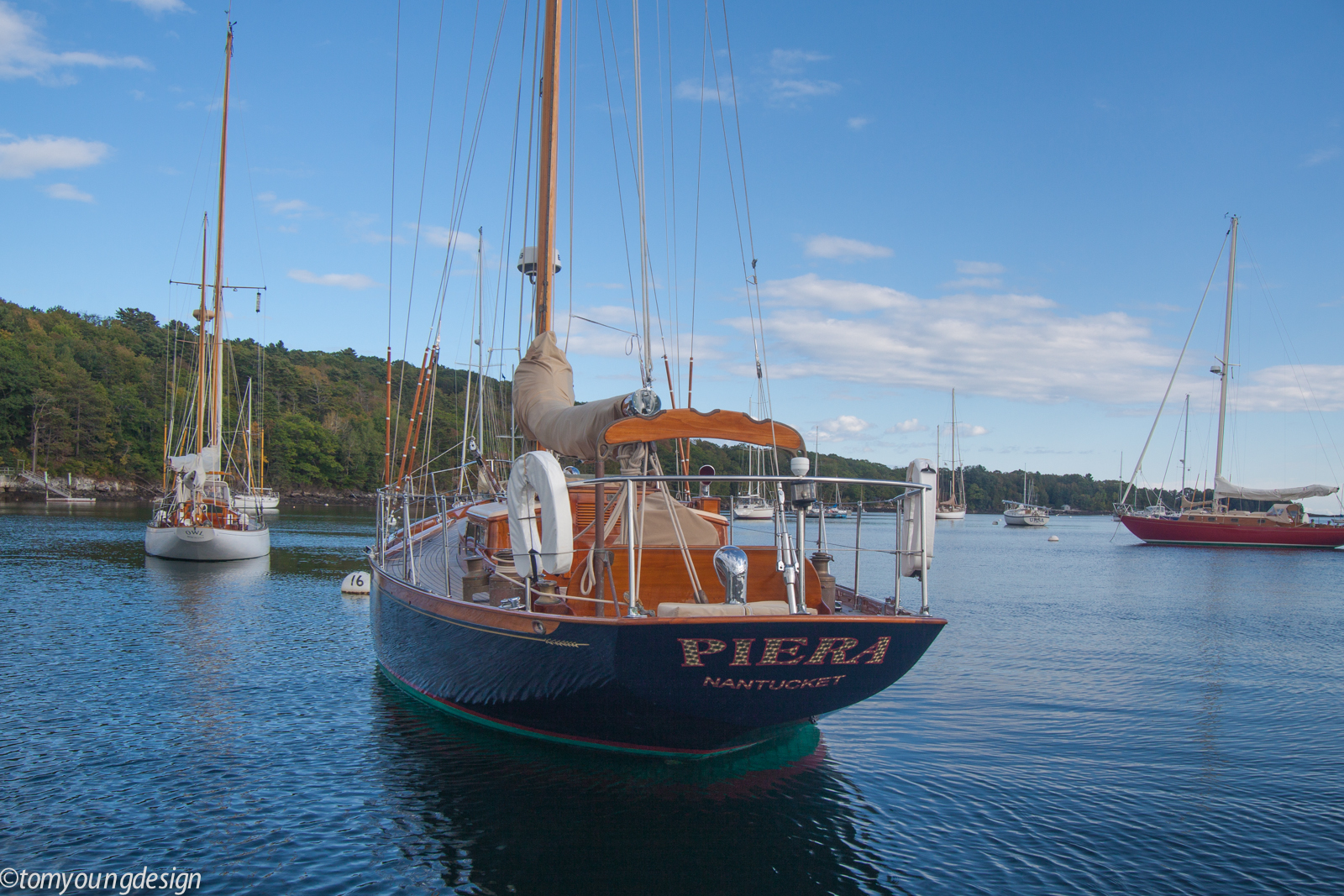Piera stern (1 of 1).jpg