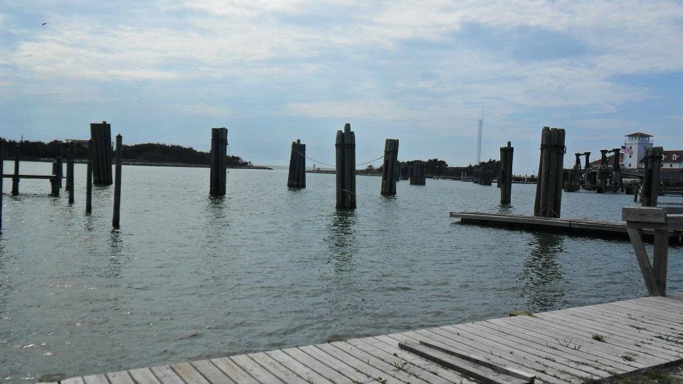 Piers at StatePark.jpg