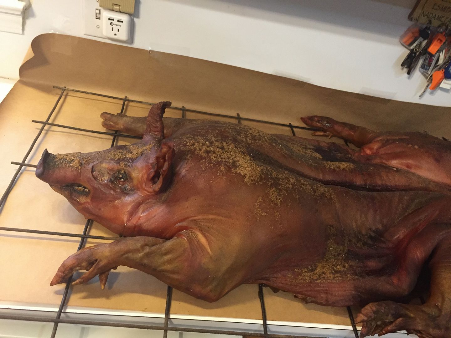 Pig From June Roast.jpg