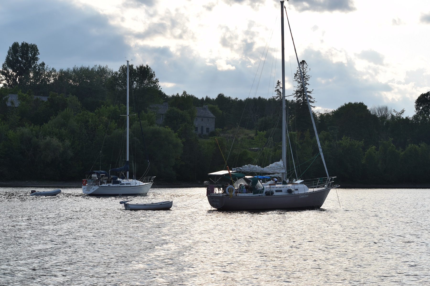 Pinhey Point 2019.jpg