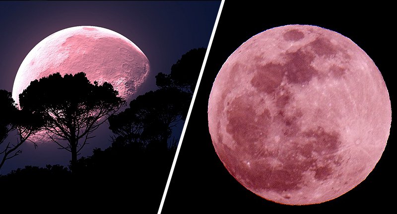 PINK-MOON.jpg