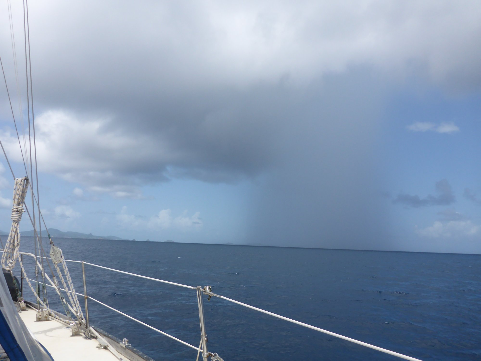 pis ant squall 2.JPG
