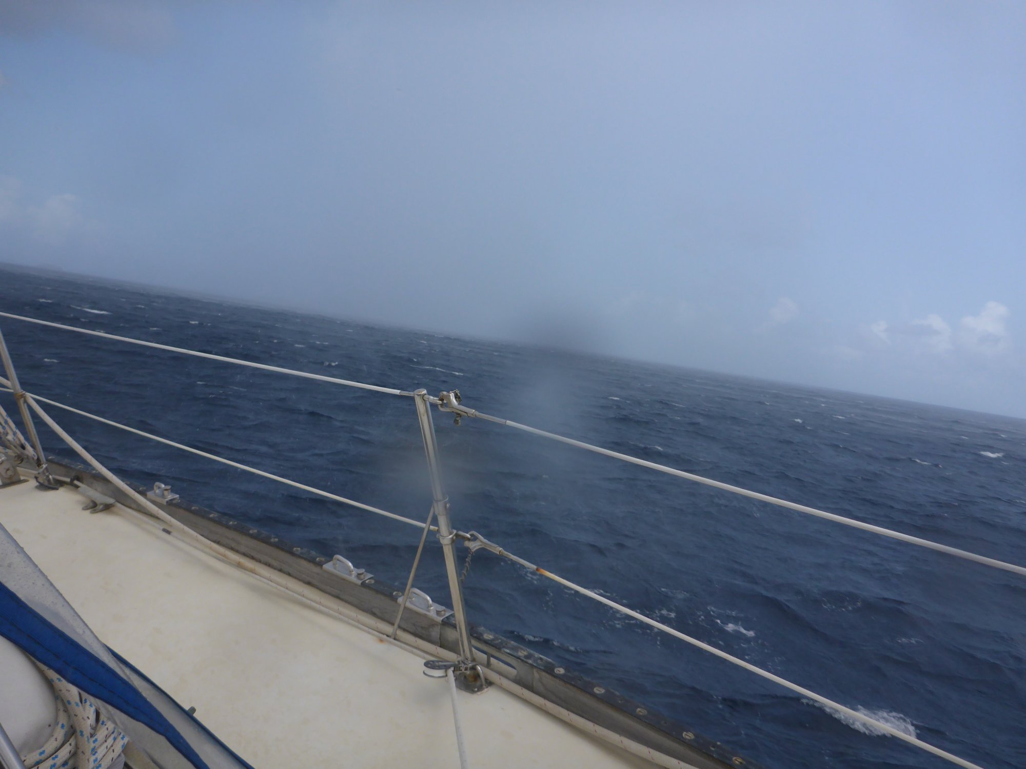 pis ant squall 3.JPG