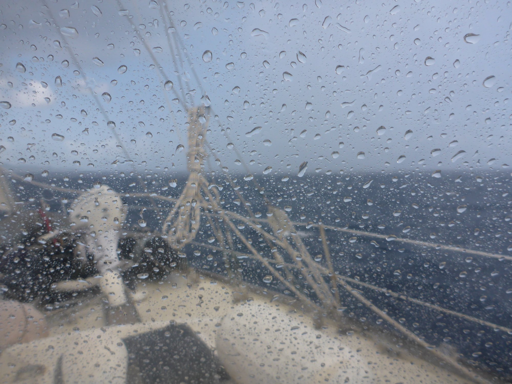 pis ant squall 4.JPG