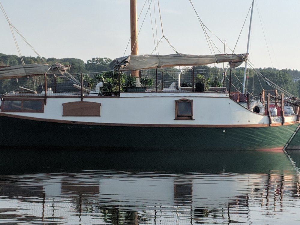 PLANT BOAT1.jpg