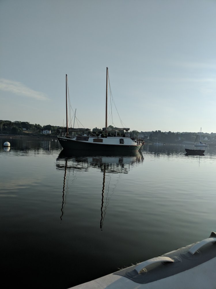 PLANT BOAT2.jpg