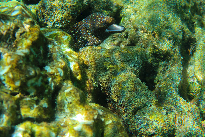 pm_201808_0360.jpg