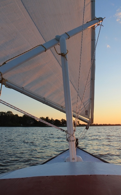 pocket_cruiser_0952.jpg