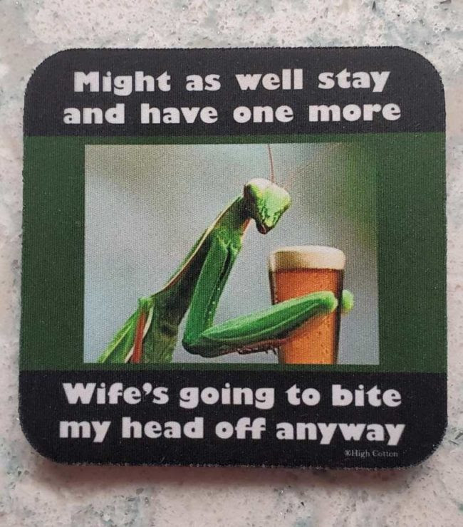 preyingmantis (1).jpg