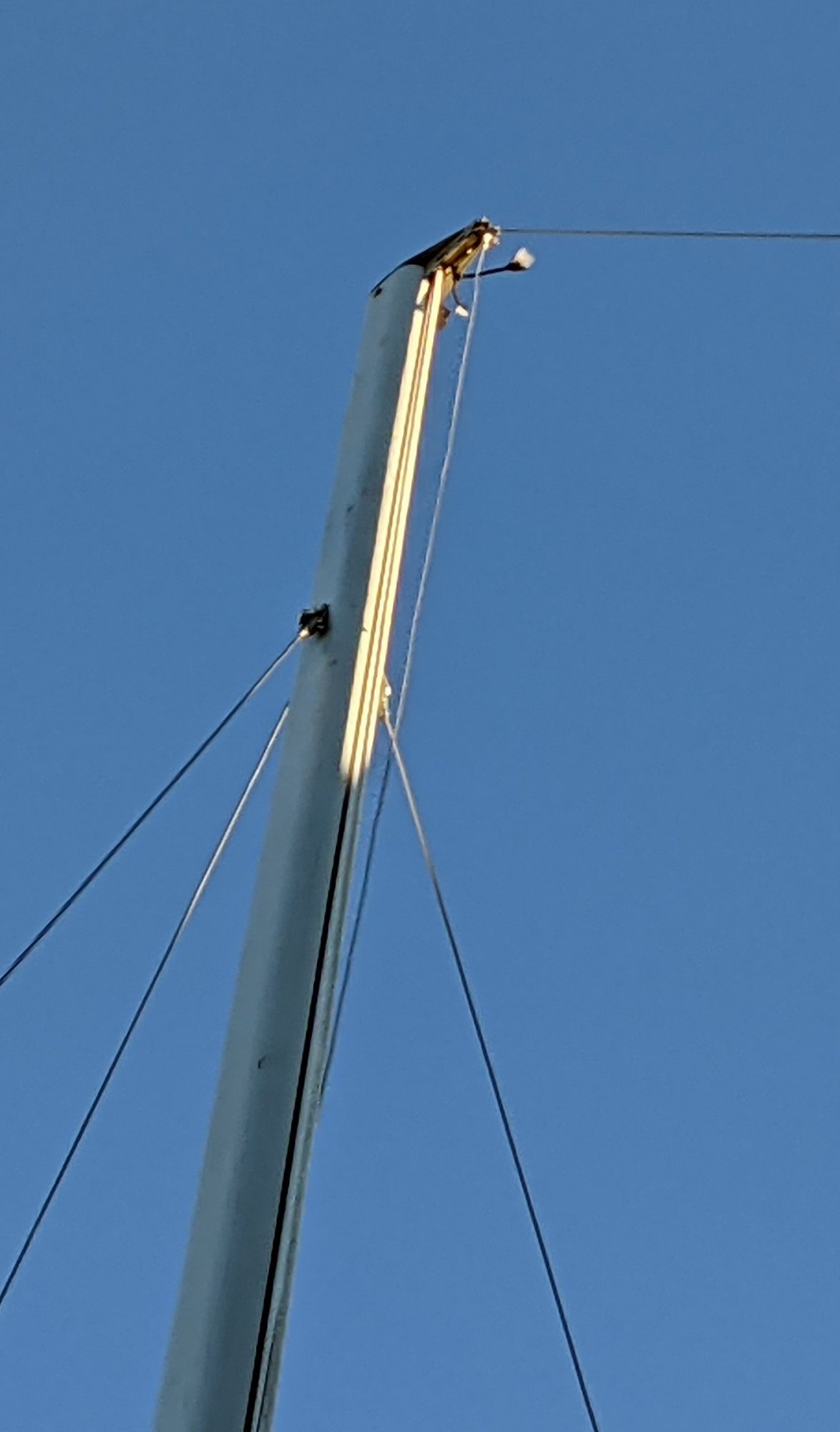 PXL_20211130_145728886.jpg