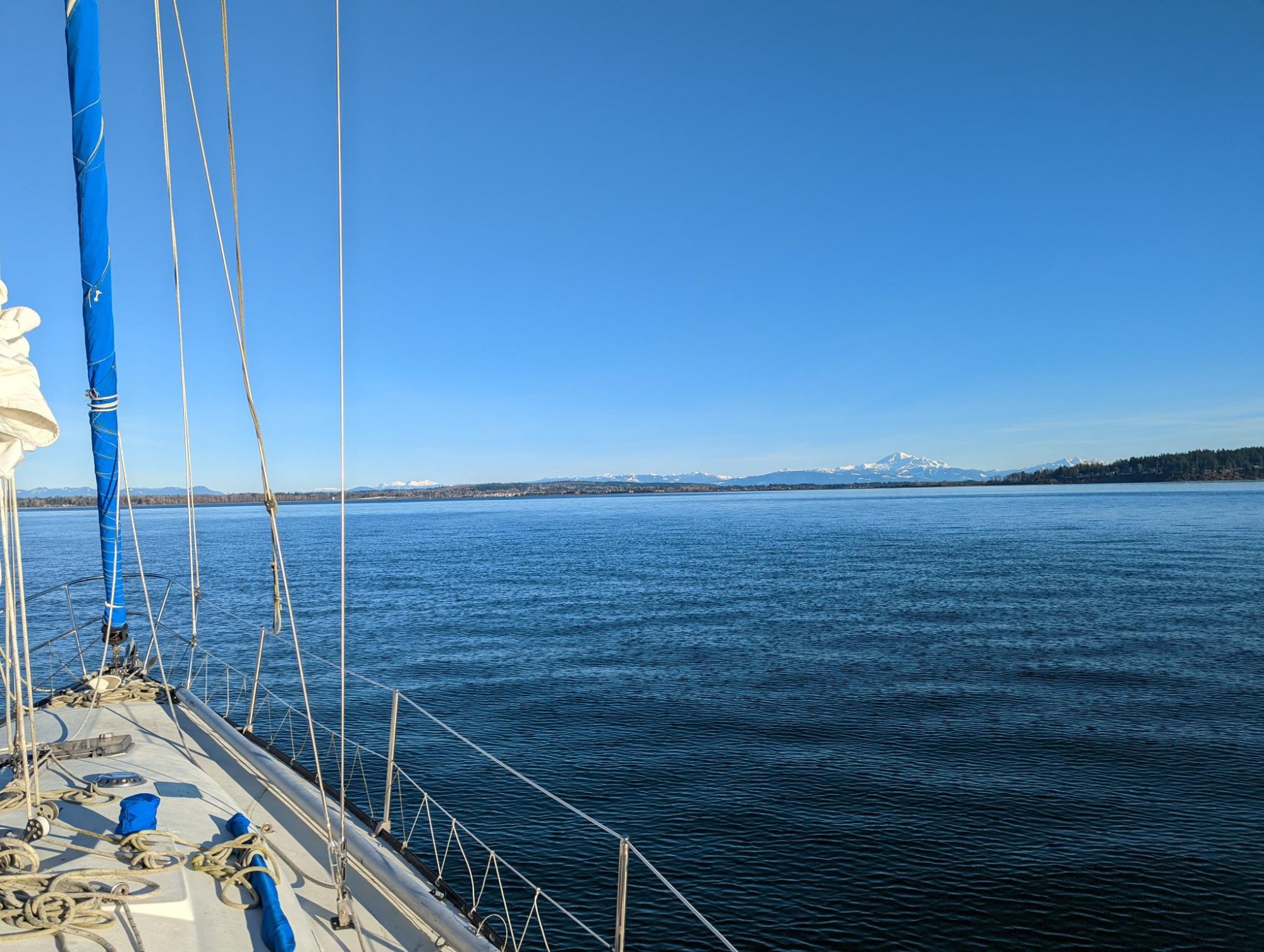 PXL_20220109_224747340.jpg