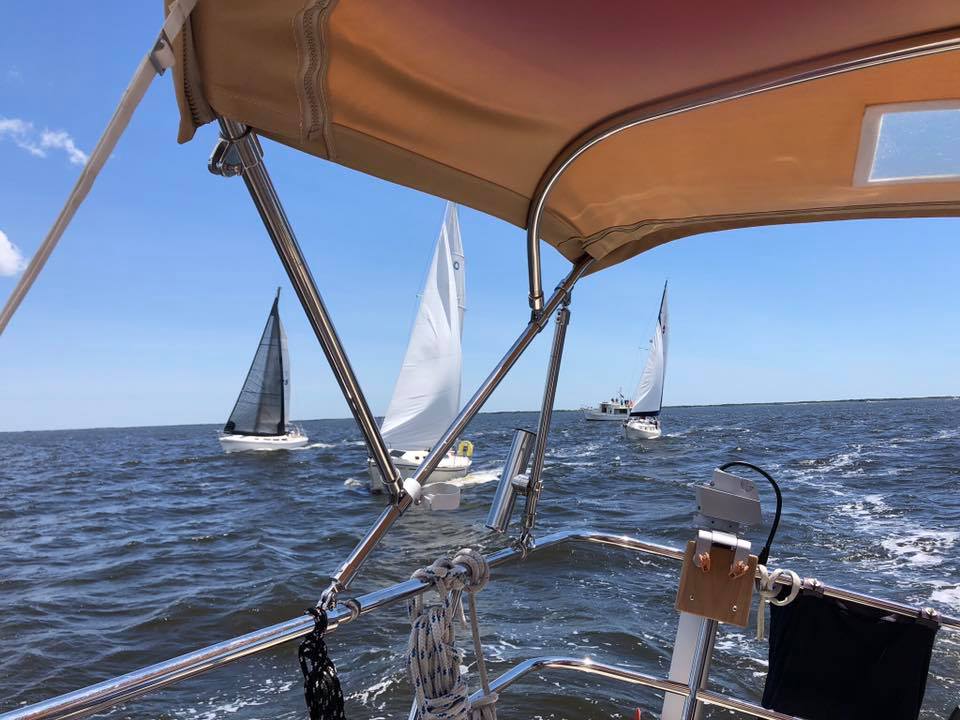 Race 2 luffed sail.jpg