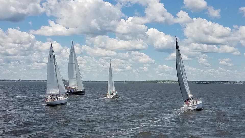 Race 2 start.jpg