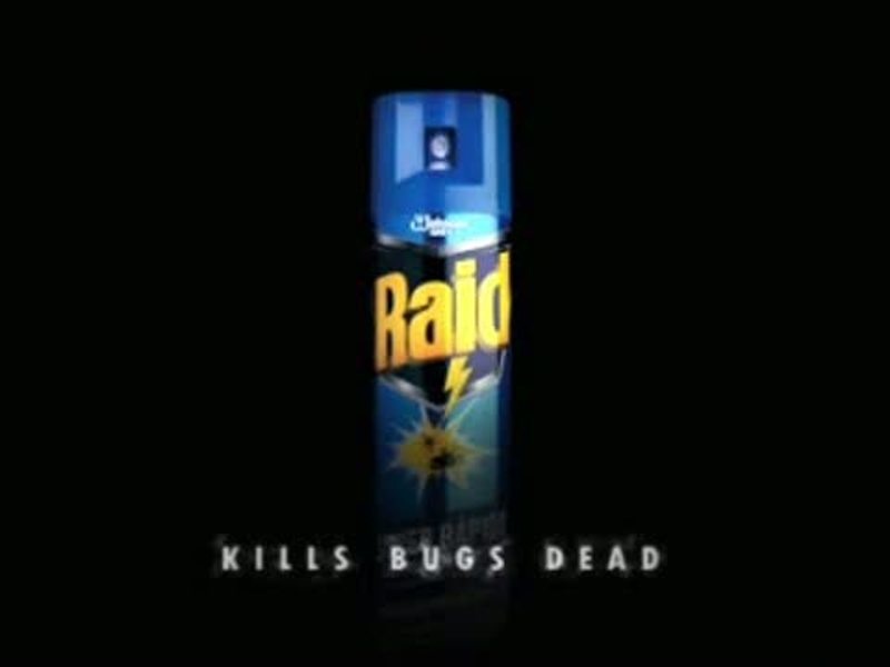 Raid.jpg