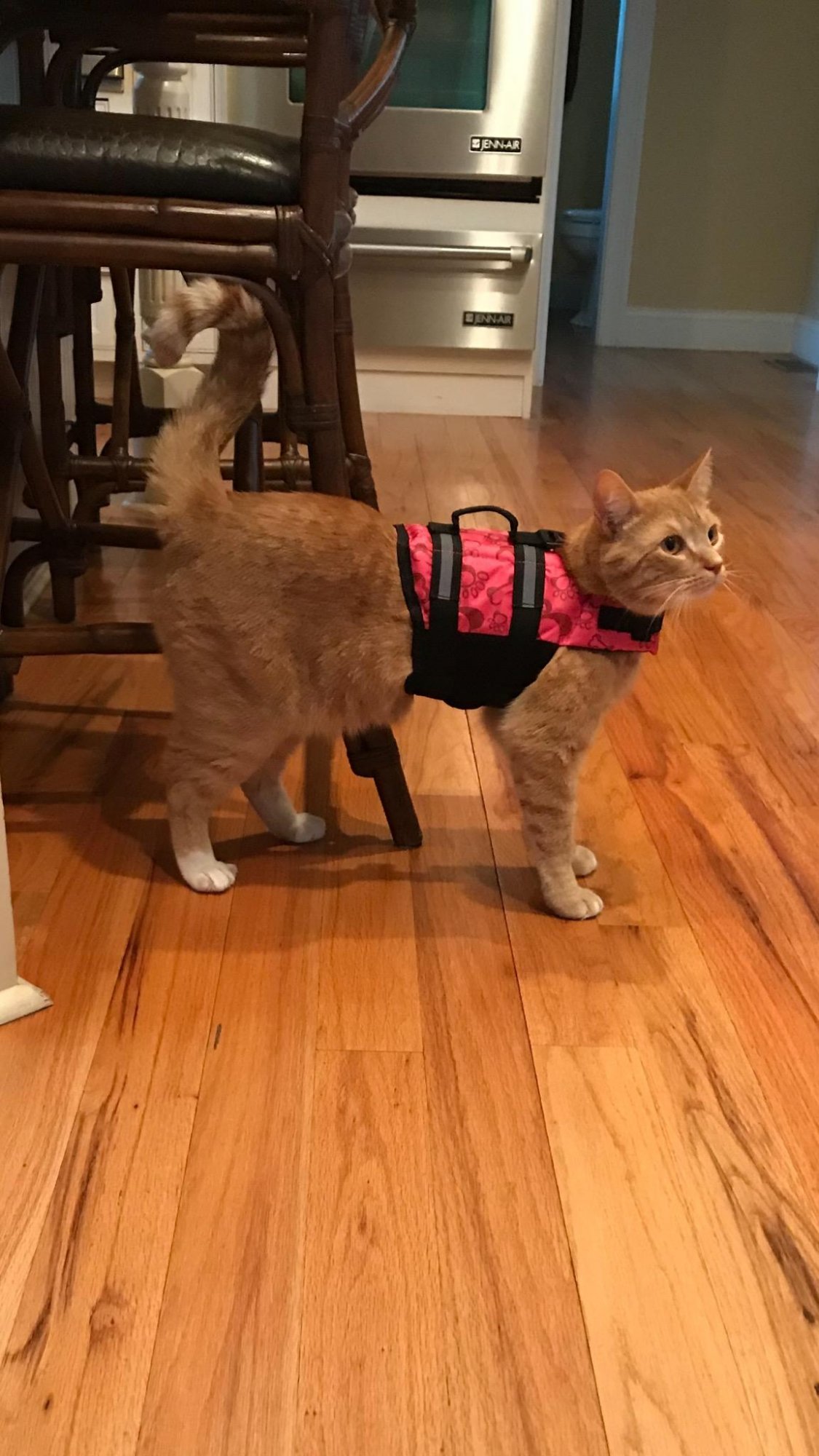 Ready for some boatin' May '19.jpg