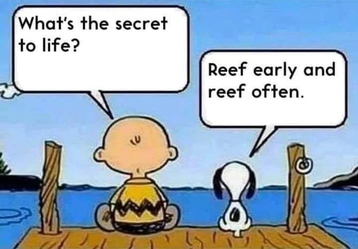 reef early.jpg
