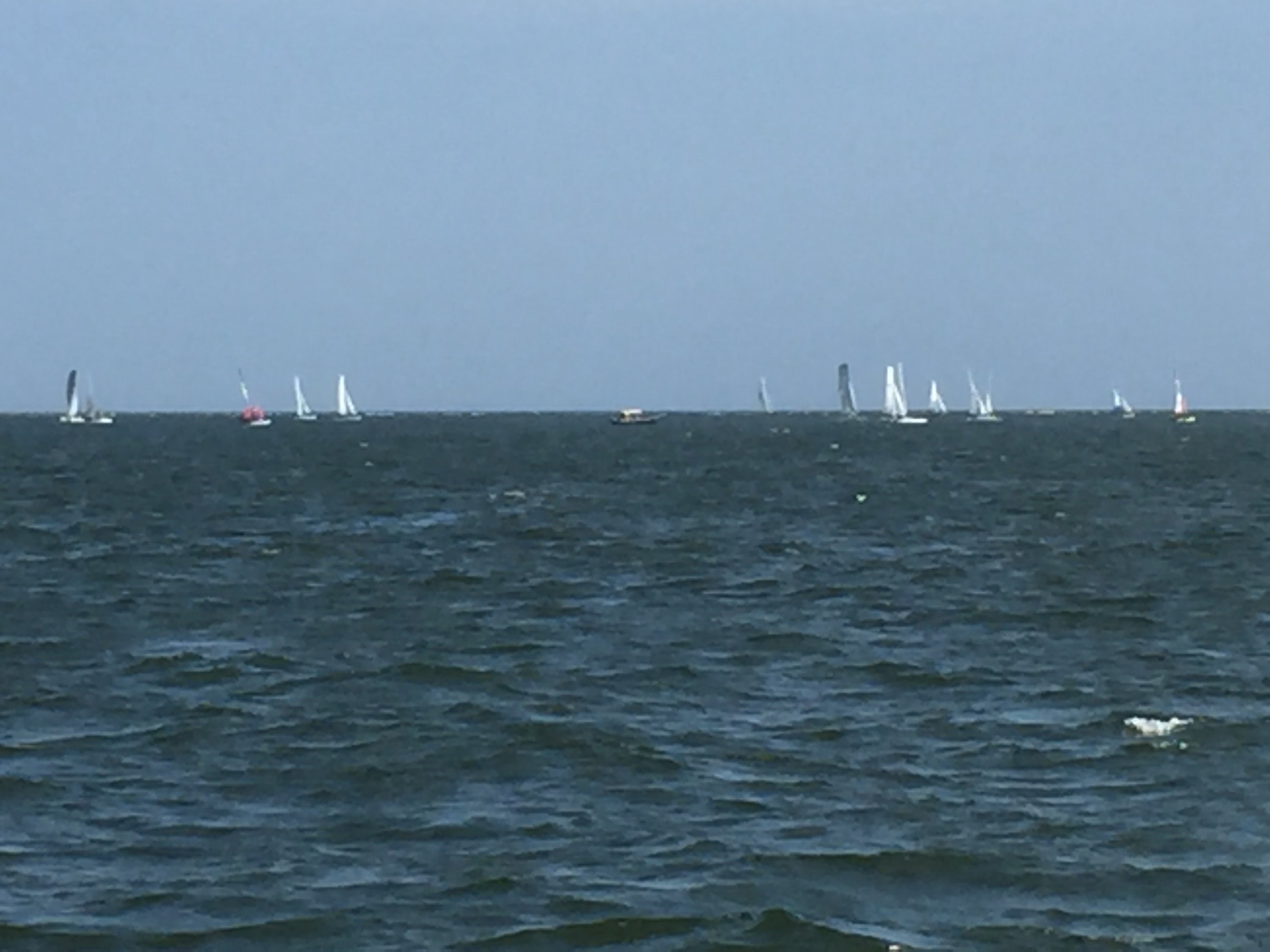 Regatta.JPG
