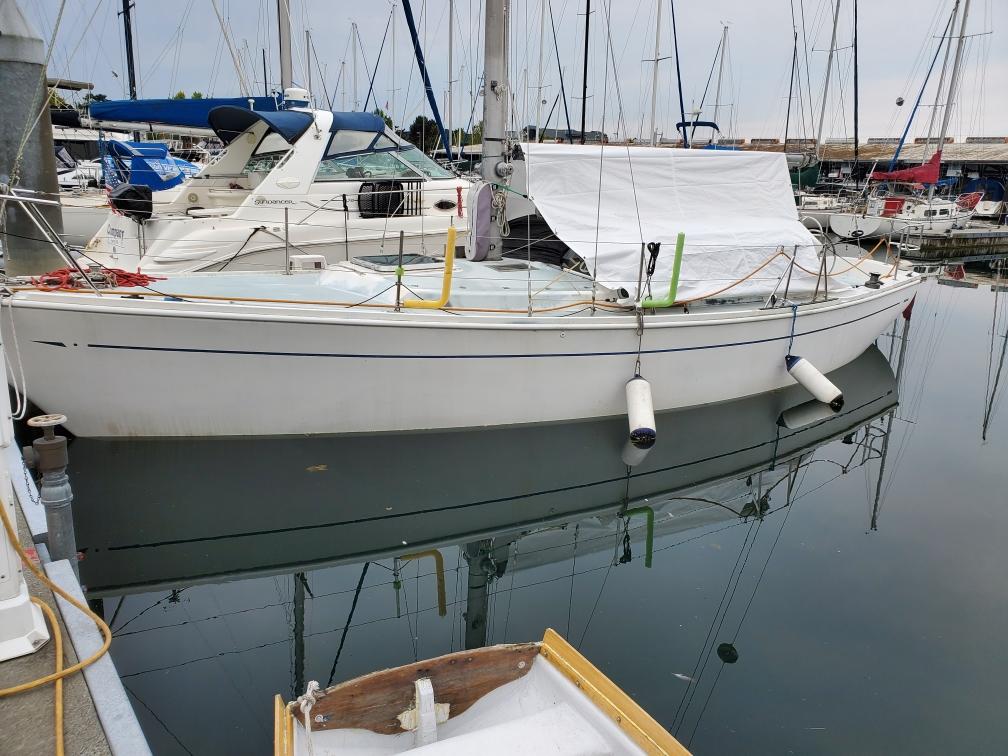 Resized_20230805_092151.jpeg