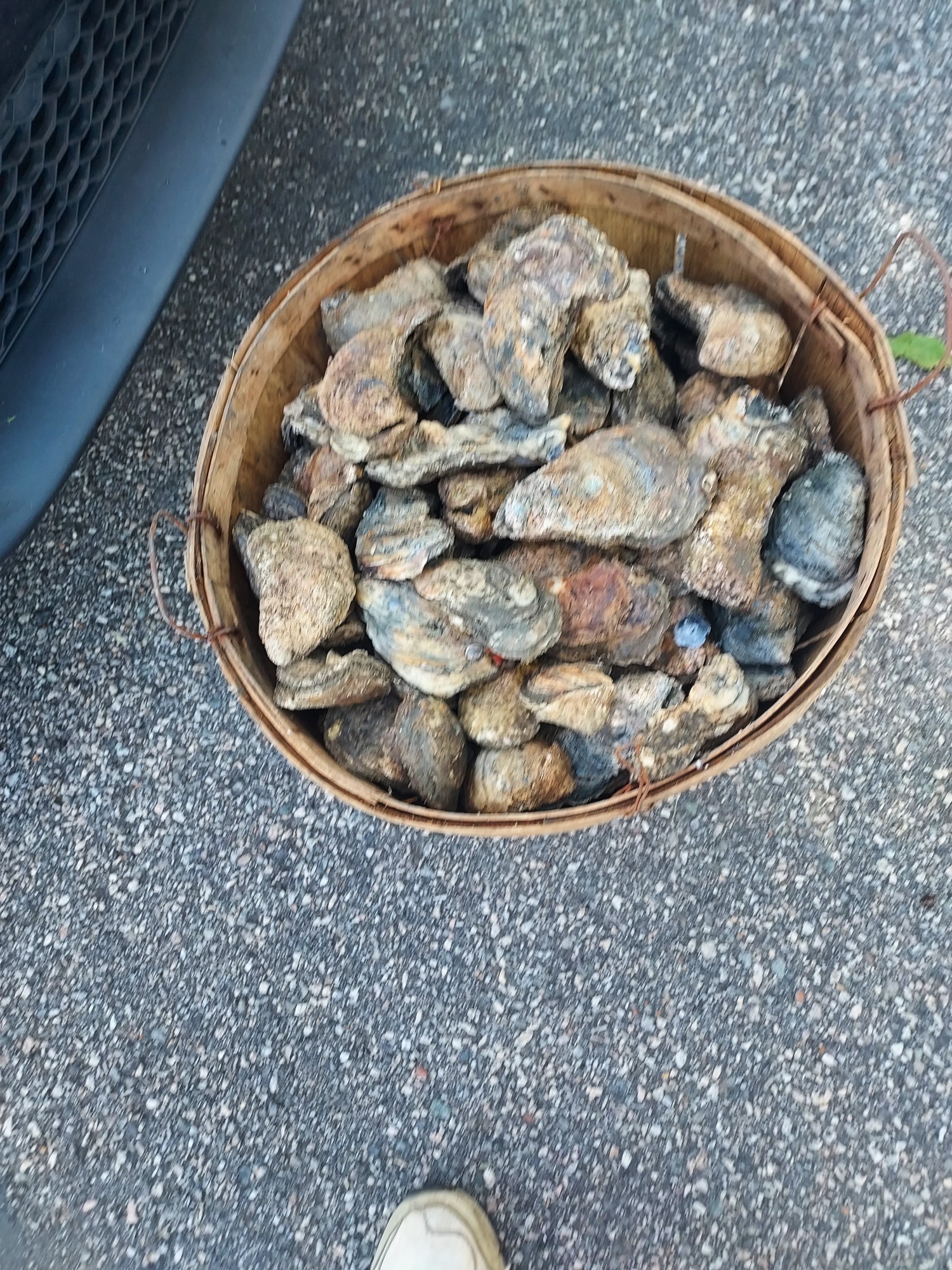 Resized_20230915_152355.jpeg