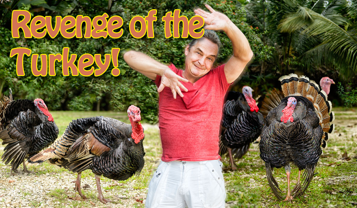 Revenge-of-the-Turkey.jpg