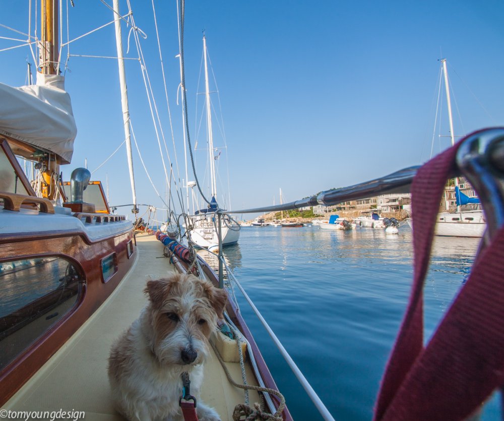 Rockport cats cradle mooring.jpg