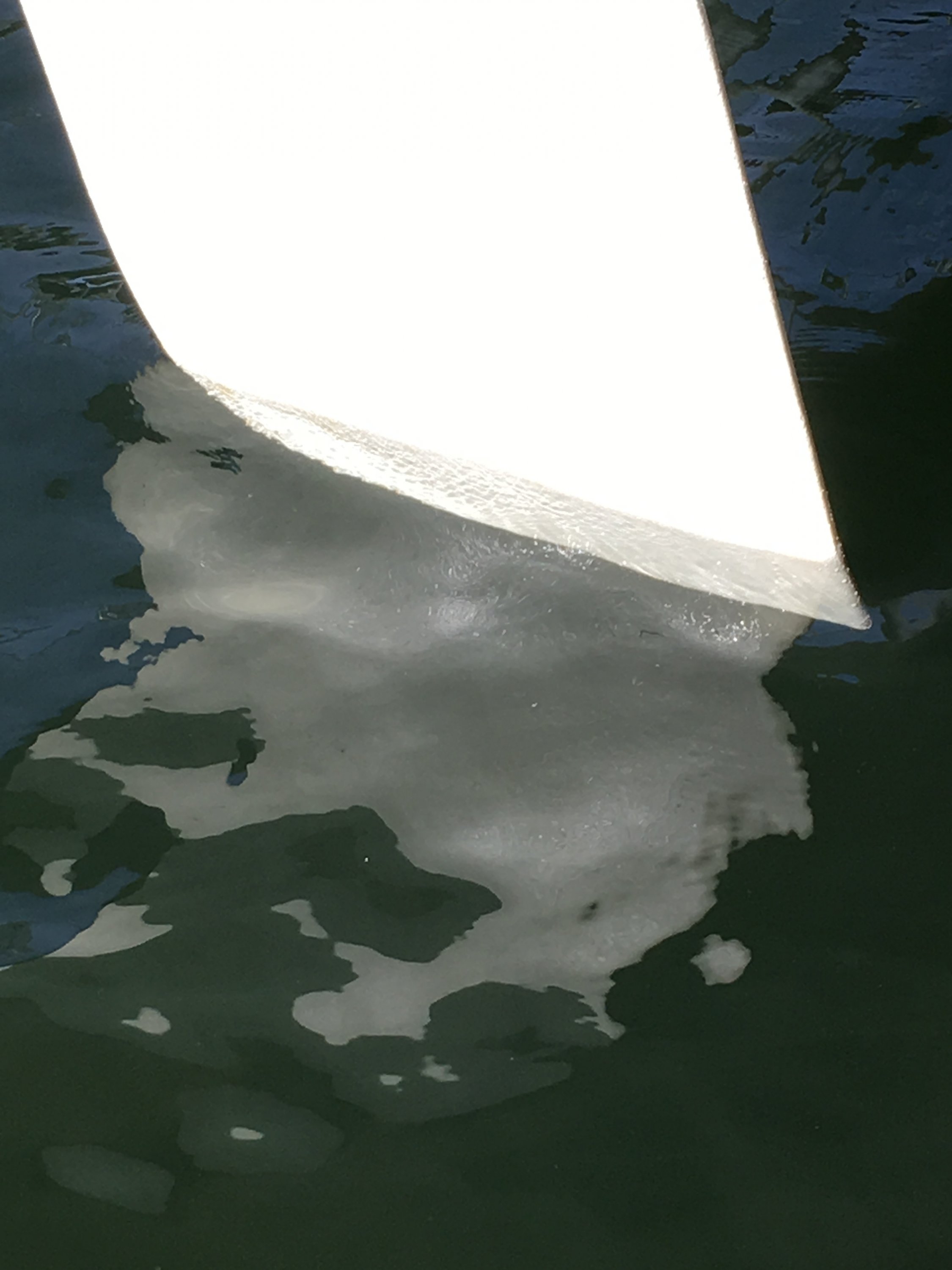 Rudder Cleaned.JPG