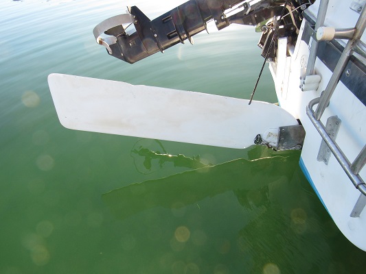 rudder1.jpg