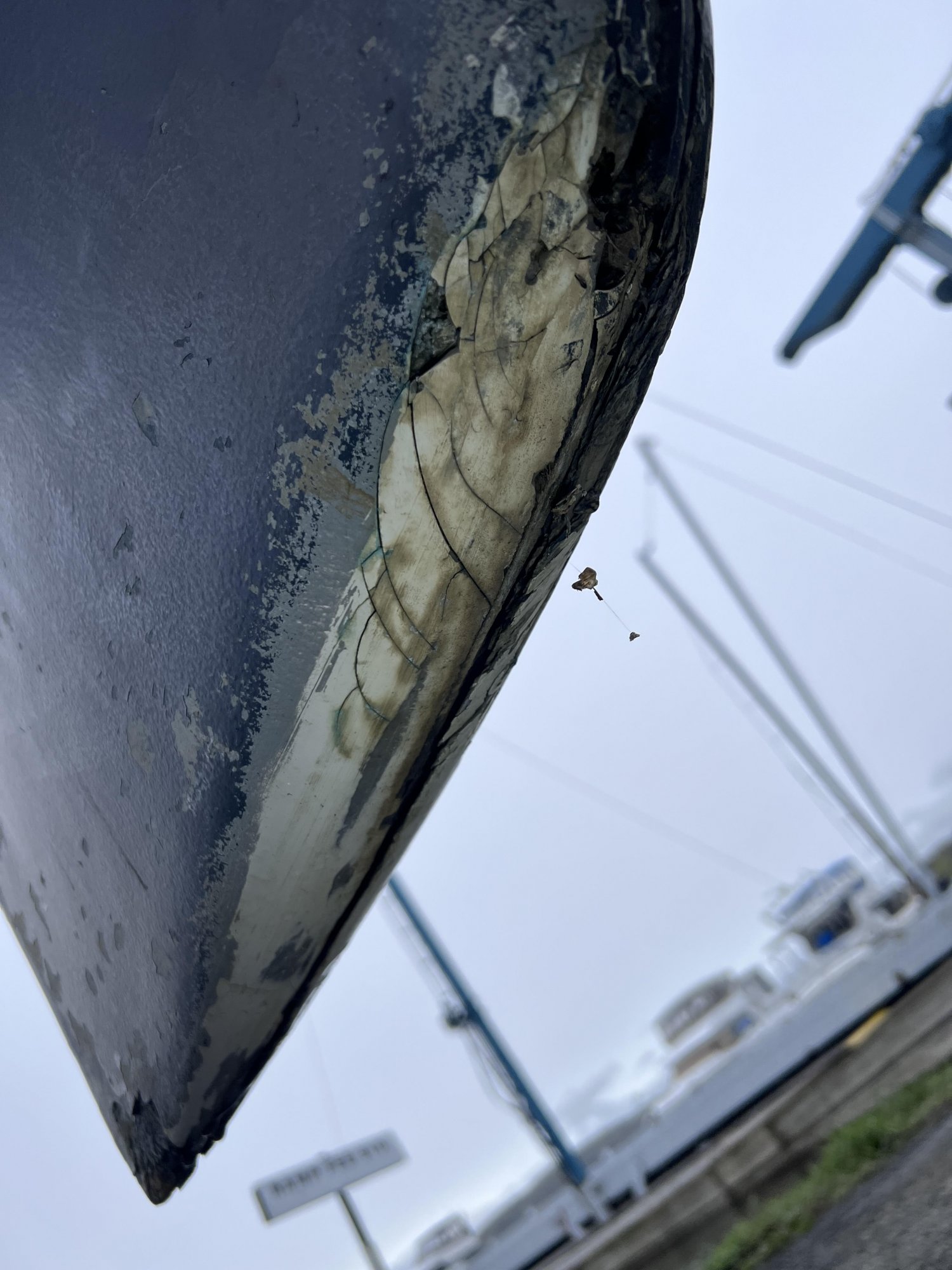 rudder1.jpg