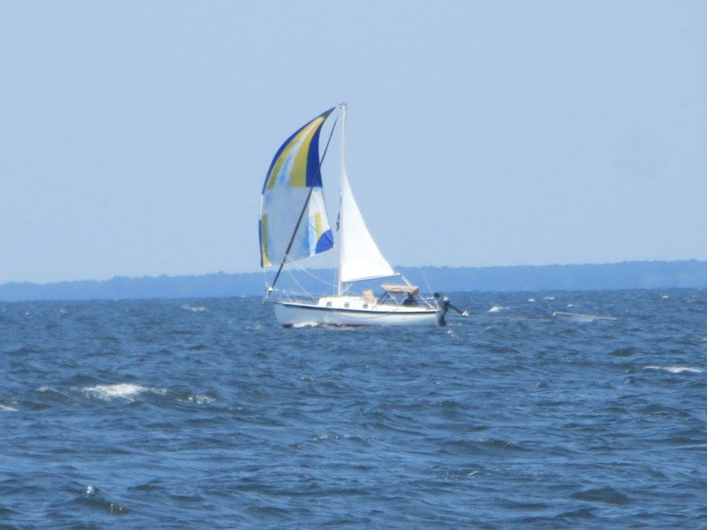 Saga Spinnaker.jpg