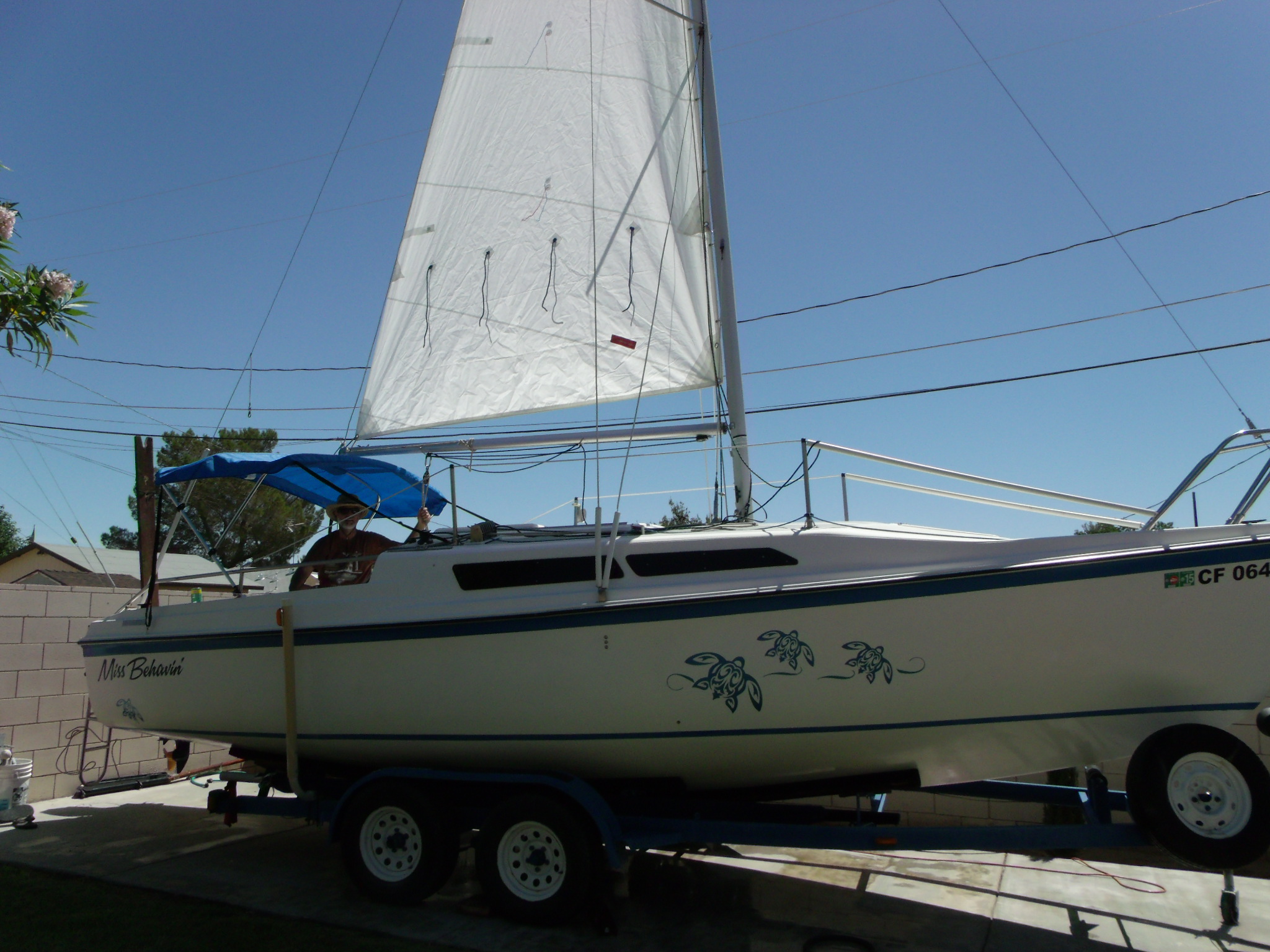 sailboat 002.jpg